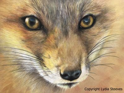 Evening Light CP Online Class